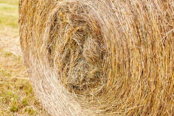 収穫場での干し草のロールアップ — ストック写真