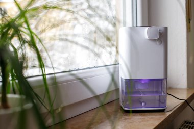 Nemlendirici Nemlendirici Emici Ev İçi Küçük Ev