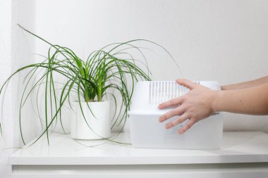 Plastik nemlendirici. ev nem kontrolü