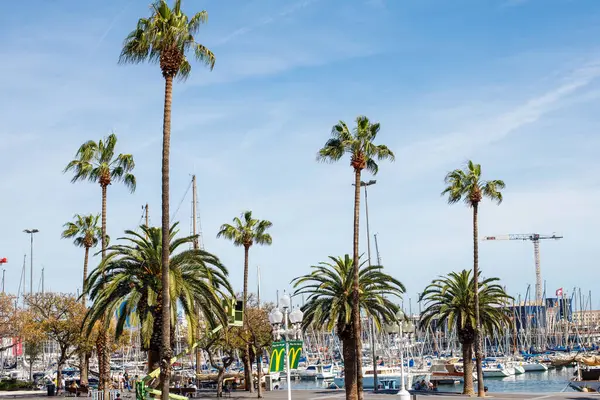Palmen Vor Blauem Himmel Und Yachten Hafen Von Barcelona Stockbild