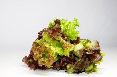 Beyaz arka planda taze salata karışımı