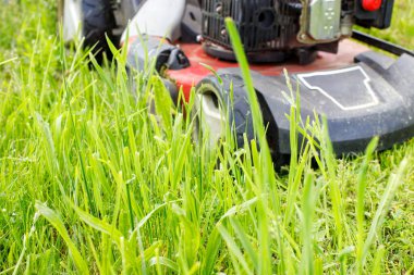 Yeşil çimenlikteki elektrikli çim makinesinin yakın görüntüsü izole edilmiş. Bahçe makineleri kavramı.