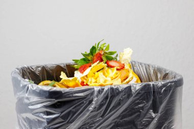 Biyolojik atık Biyolojik atık kutusu. Biyolojik atık ayıklama. biyolojik atık