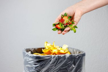 Atık ayıklama. biyolojik atık, beyaz arkaplanda organik atık