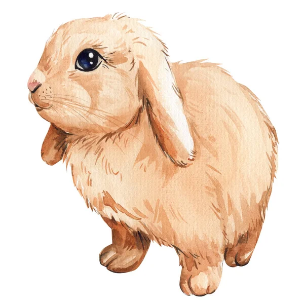 Bunny Izolovaném Bílém Pozadí Akvarel Ilustrace Béžový Králík Vysoce Kvalitní — Stock fotografie