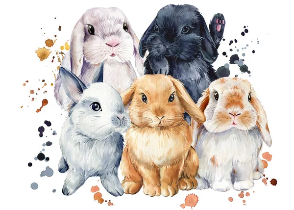 Póster Con Conejos Sobre Fondo Blanco Aislado Ilustración Acuarela Conejo —  Fotos de Stock