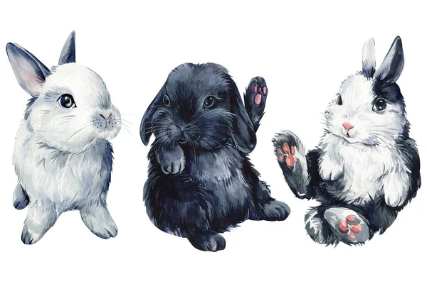 Set Coniglietti Carino Sfondo Bianco Isolato Coniglietto Acquerello Illustrazione Coniglio — Foto Stock