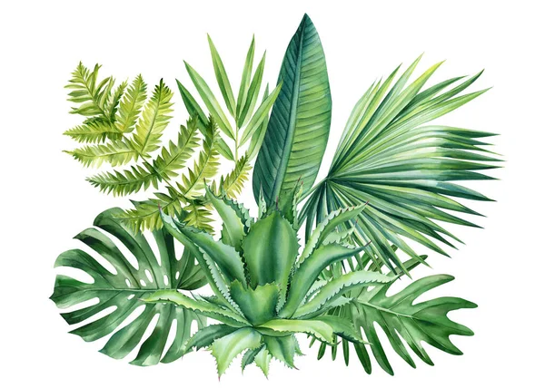 Folhas Tropicais Isoladas Sobre Fundo Branco Planta Verde Selva Ilustração — Fotografia de Stock