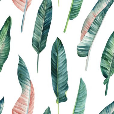 Palm leaves, tropical background, hand drawn watercolor botanical painting. Strelitzia plant. Seamless pattern, jungle wallpaper. High quality illustration clipart