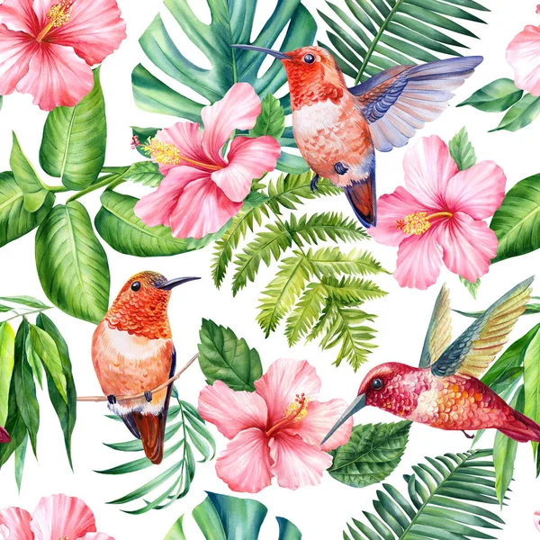 Hermosas Aves Colibríes Flores Hibisco Rosa Hojas Palma Pintura Botánica —  Fotos de Stock