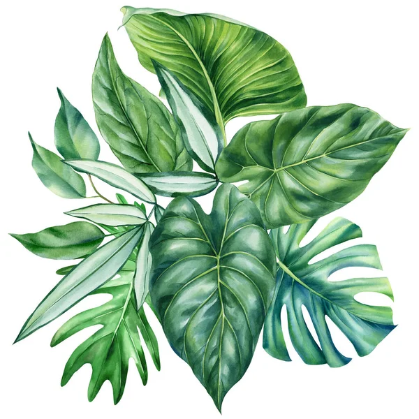 Watercolor Jungle Green Plant Tropical Leaves Flower Isolated White Background — Stock Photo, Image