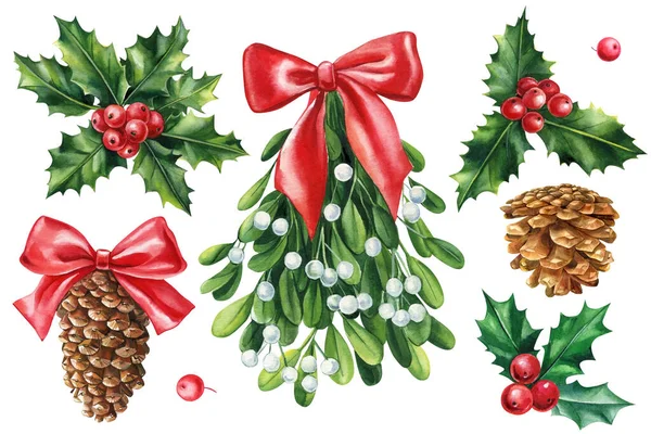 Mistletoe, holly branches, pine cones isolated on white background. Hand drawn watercolor set. . High quality illustration