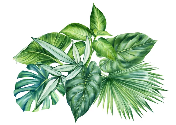 Akwarela Dżungla Roślin Zielonych Liście Tropikalne Kwiat Izolowane Białym Tle — Zdjęcie stockowe