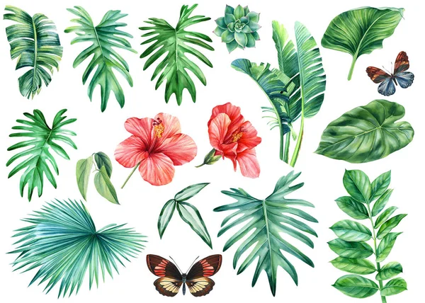 Tropische Aquarelle Exotischer Dschungelpflanzen Palmblätter Rote Hibiskusblüten Und Bunte Schmetterlinge — Stockfoto
