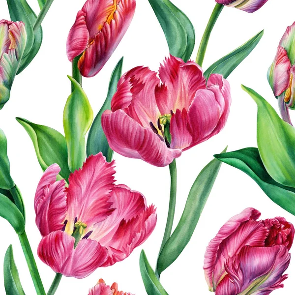Tulpen Aquarell Frühlingsblumen Auf Einem Isolierten Weißen Hintergrund Nahtloser Hintergrund — Stockfoto
