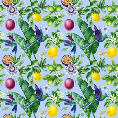 Tropikal meyve ve yapraklar, limon, tutku çiçeği sevimli sinekkuşu kuşları. Çiçeksiz desen. Yüksek kaliteli illüstrasyon