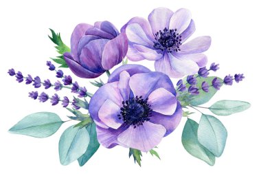 Güzel narin çiçekler. Şakayık çiçeklerinin suluboya çizimleri, okaliptüs yaprakları. Çiçek tasarımı. Yüksek kaliteli illüstrasyon