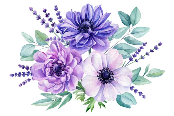 Lindas Flores Delicadas Ilustrações Aquarela Flores Anêmona Folhas Eucalipto Desenho — Fotografia de Stock