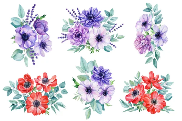 美しい花々がセット イソギンチャクの花 ラベンダー ユーカリの葉の水彩イラスト 花のデザイン 高品質のイラスト — ストック写真