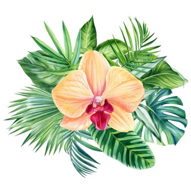İzole edilmiş beyaz arka planda sarı orkideler, botanik suluboya resim, el çizimi tropikal çiçekler. Yüksek kaliteli illüstrasyon