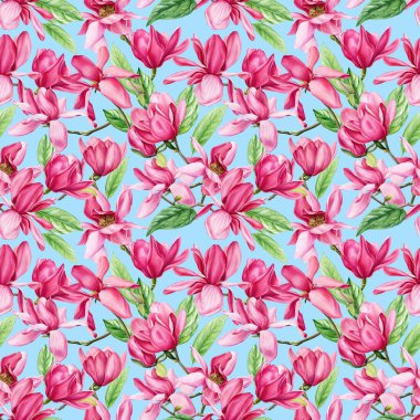 İzole edilmiş beyaz arka planda pembe manolya, suluboya bahar çiçekleri. Kusursuz desen. Yüksek kaliteli illüstrasyon