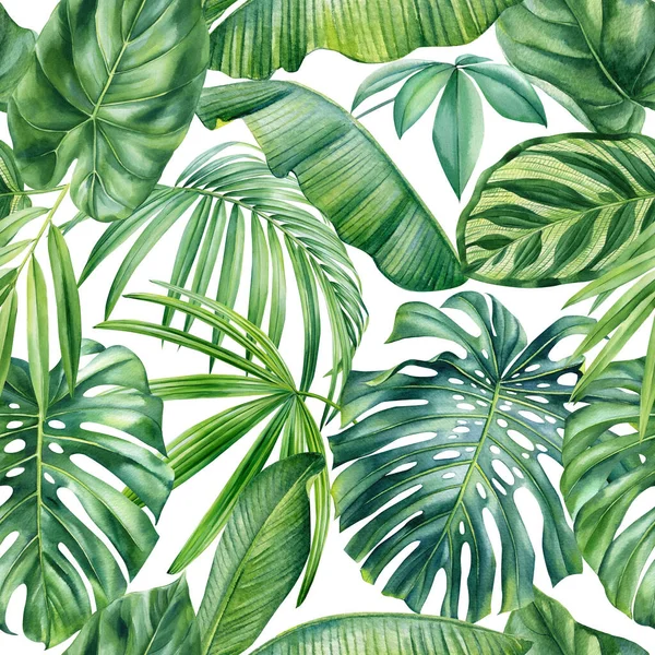 Sfondo Tropicale Pittura Botanica Acquerello Disegnata Mano Modello Senza Cuciture — Foto Stock