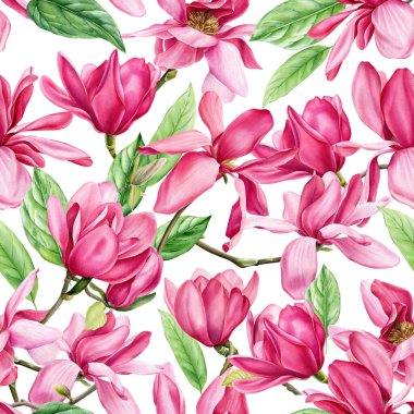 İzole edilmiş beyaz arka planda pembe manolya, suluboya bahar çiçekleri. Kusursuz desen. Yüksek kaliteli illüstrasyon