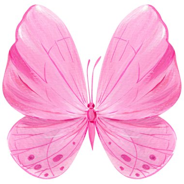 İzole edilmiş beyaz arka planda parlak pembe kelebek, akrilik resim, kelebek sanatı. Yüksek kaliteli illüstrasyon