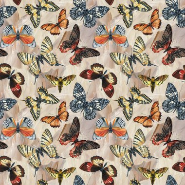 Modern soyut resim. Tropikal Kelebek desenli. Grafik tasarımı duvar kağıdı, kağıt ya da arkaplan. Yüksek kaliteli illüstrasyon