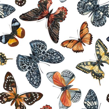 Tropikal Kelebek desenli. Grafik tasarımı. Güzel Vintage resim, çizim baskısı. Yüksek kaliteli illüstrasyon