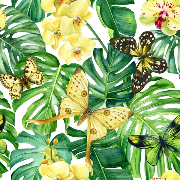 Watercolor Orchid Flower Palm Leaves Tropical Butterfly Colored Background Seamless — Stock Photo, Image