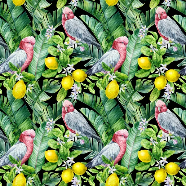 Seamless pattern, Parrot birds. lemon fruit, leaves and flowers. tropical background, watercolor jungle wallpaper. High quality illustration