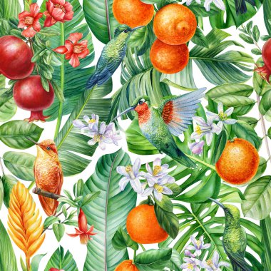 hummingbird, leaves, pomegranate fruit and flowers, tropical background, watercolor jungle. Floral Seamless pattern . High quality illustration