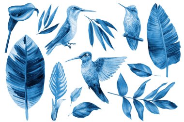 Watercolor botanical tropical leaf, hummingbird and flower, isolated. Hand drawn illustration, Wild animal, blue color . High quality illustration