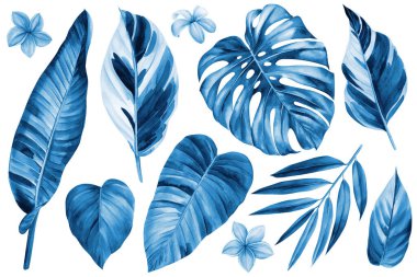 Set of botanical plant, wild leaves in watercolor painting, floral blue color. Design illustration, jungle background. High quality illustration