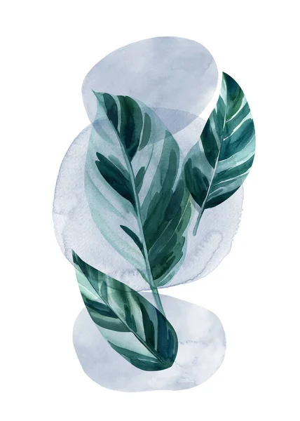 Botanical abstract wall arts watercolor collection. Tropical leaves arts, Hand draw Organic shape design for wall framed prints, cover and poster. High quality illustration