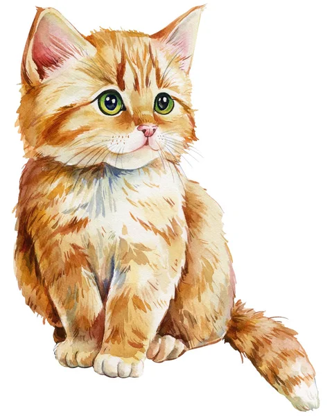 Beautiful Red Cat Isolated White Background Watercolor Illustration Cute Kitten — Stock fotografie