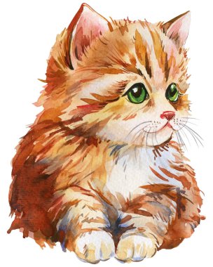 Cute kitten, red cat on an isolated white background. watercolor illustration, hand drawing. High quality illustration