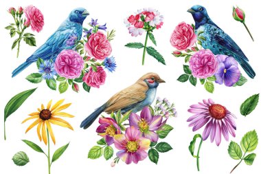 Spring bird and flower, watercolor illustration floral on isolated white background. . High quality illustration