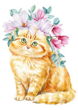 Cute cat with magnolia flowers and eucalyptus leaves, baby animal on isolated white background. Watercolor hand drawn illustration. High quality illustration