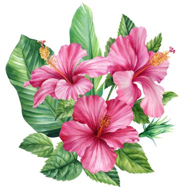 Palmiye yaprakları ve tropik çiçekler suluboya resimleme. Canavarlı buket, yaprak ve amber çiçeği izole edilmiş arka plan. Yüksek kaliteli illüstrasyon