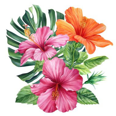 Palmiye yaprakları ve tropik çiçekler suluboya resimleme. Canavarlı buket, yaprak ve amber çiçeği izole edilmiş arka plan. Yüksek kaliteli illüstrasyon