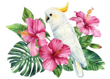 Pembe çiçekli ve palmiye yapraklı bir papağan, izole edilmiş egzotik bir kuş. Suluboya el çizimi çizimi. Kakadu. Yüksek kalite fotoğraf