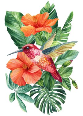 Çiçekli ve yapraklı sinekkuşu, izole beyaz arka planda egzotik bir kuş. Suluboya el çizimi çizimi. Yüksek kaliteli illüstrasyon