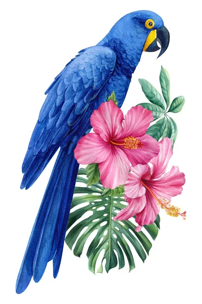 Blue Parrot, hyacinth macaw with flowers and palm leaves, exotic birds on isolated white background. Watercolor hand drawn illustration. High quality illustration