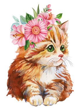 Cat and flower wreath, cute kitten on summer flora on isolated white background. watercolor illustration. High quality illustration