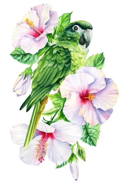 Green parrot with flowers and palm leaves, exotic birds on isolated white background. Watercolor hand drawn illustration. High quality illustration