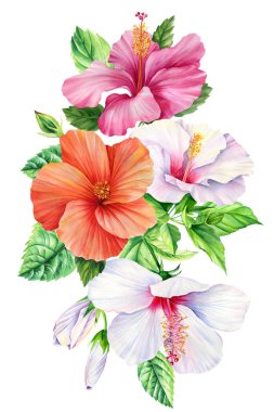 Palmiye yaprakları ve tropik çiçekler suluboya resimleme. Canavarlı buket, yaprak ve amber çiçeği izole edilmiş arka plan. Yüksek kaliteli illüstrasyon