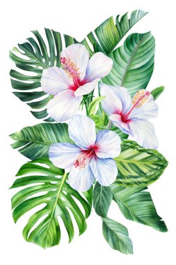 Palmiye yaprakları ve tropik çiçekler suluboya resimleme. Canavarlı buket, yaprak ve amber çiçeği izole edilmiş arka plan. Yüksek kaliteli illüstrasyon