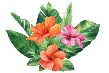 Palmiye yaprakları ve tropik çiçekler suluboya resimleme. Muz yaprağı ve amber çiçekli bir buket. Yüksek kaliteli illüstrasyon